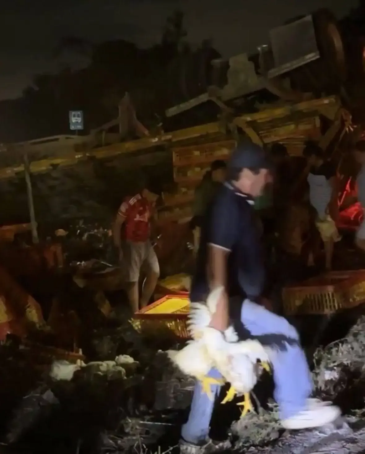 El incidente en la carretera Paso del Toro–Alvarado resalta la problemática de rapiña en accidentes carreteros.