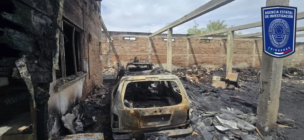 El incidente genera preocupación por el bienestar animal y la seguridad en la colonia.