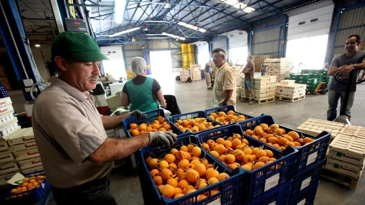 El informe del CES destaca el rol esencial de migrantes en la economía valenciana.