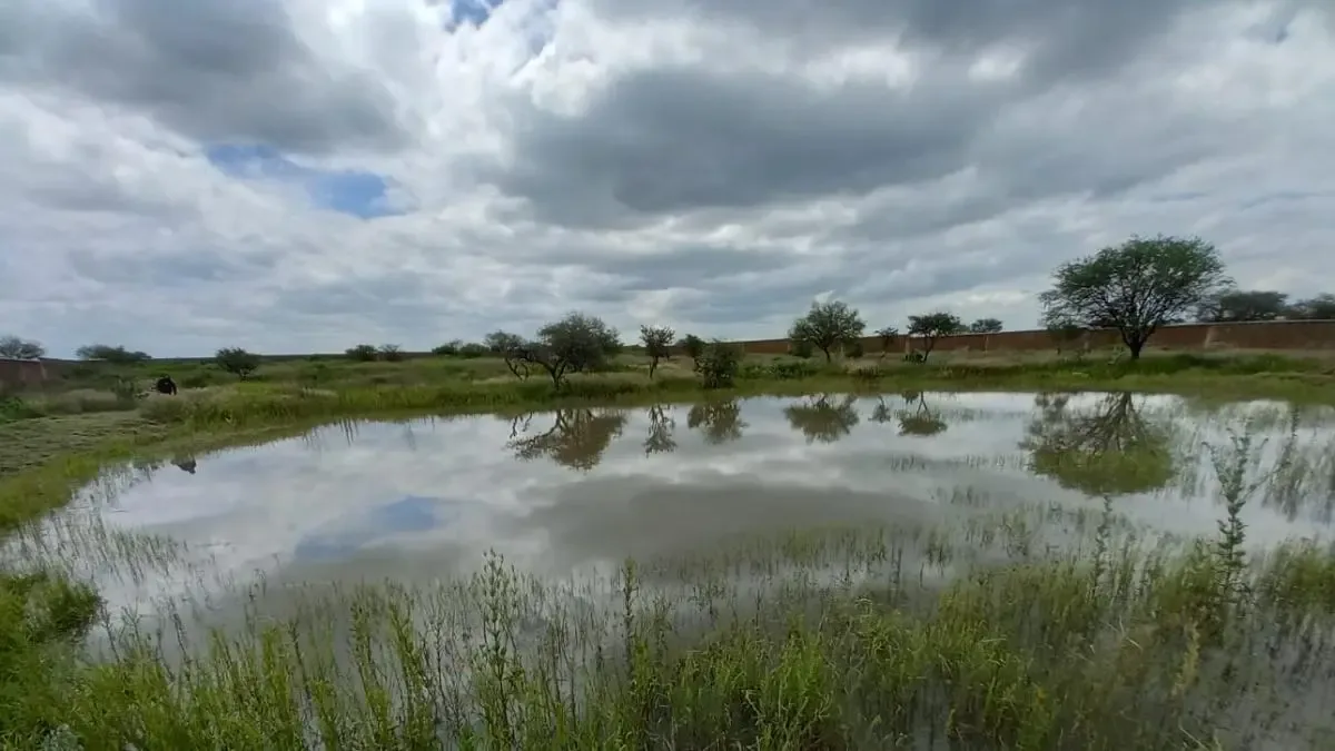 El Lago de Chapultepec podría tener aguas transparentes gracias a un nuevo material.