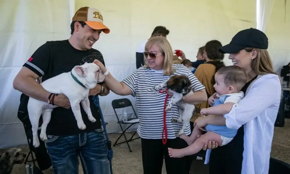 El Marqués pone en marcha un programa de esterilización gratuita de mascotas.