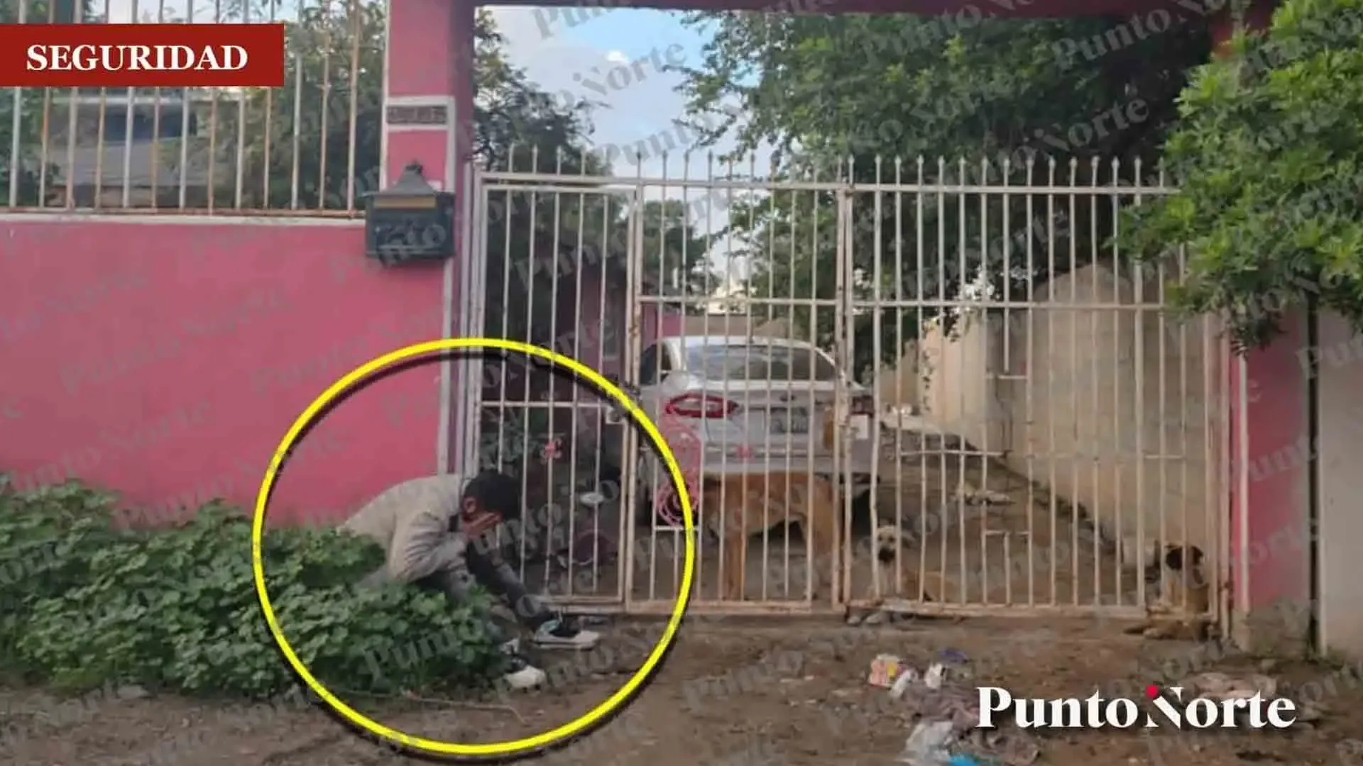 El menor sigue hospitalizado tras un grave ataque de perros en Tijuana.