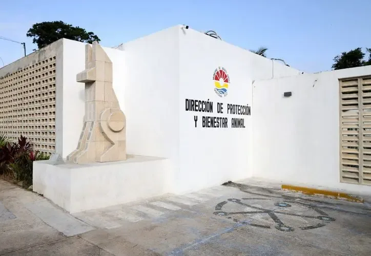 El renovado Centro de Bienestar Animal de Cancún listo para recibir visitantes.