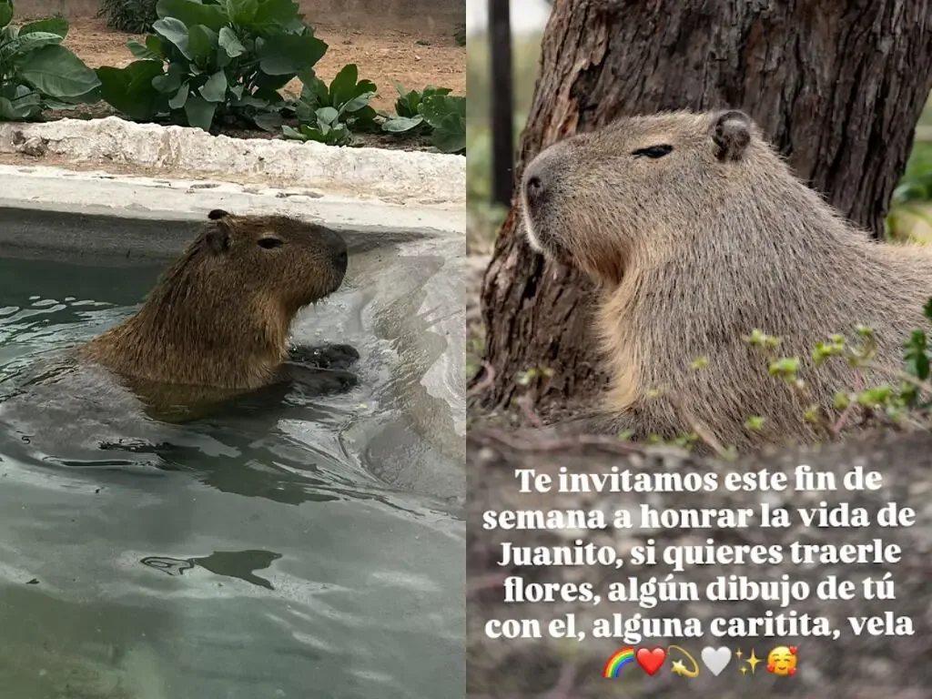 El santuario rendirá tributo a la vida de Juanito con una ceremonia especial este fin de semana.