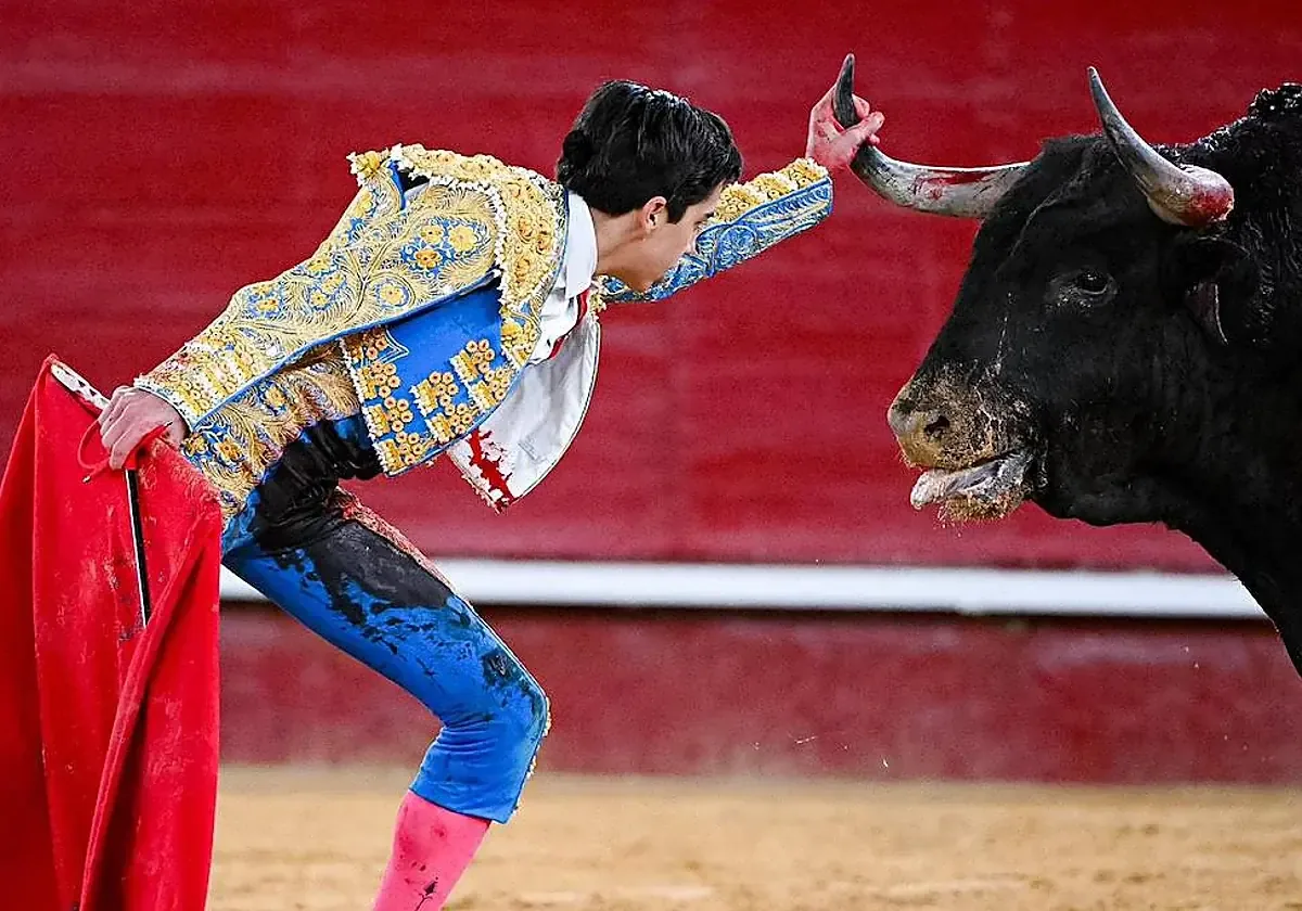 El torero español realizará cuatro corridas en su gira mexicana.