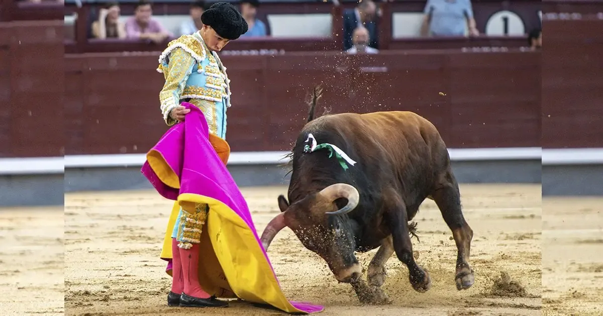El torero mexicano confirmará su alternativa en Madrid con grandes expectativas.