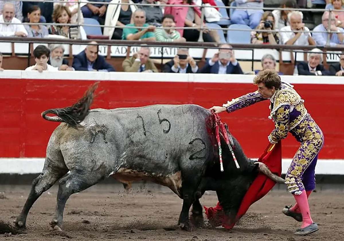 El torero valenciano Román presenta un desafío clave en Sevilla, destacando su relación con los legendarios toros Miura.