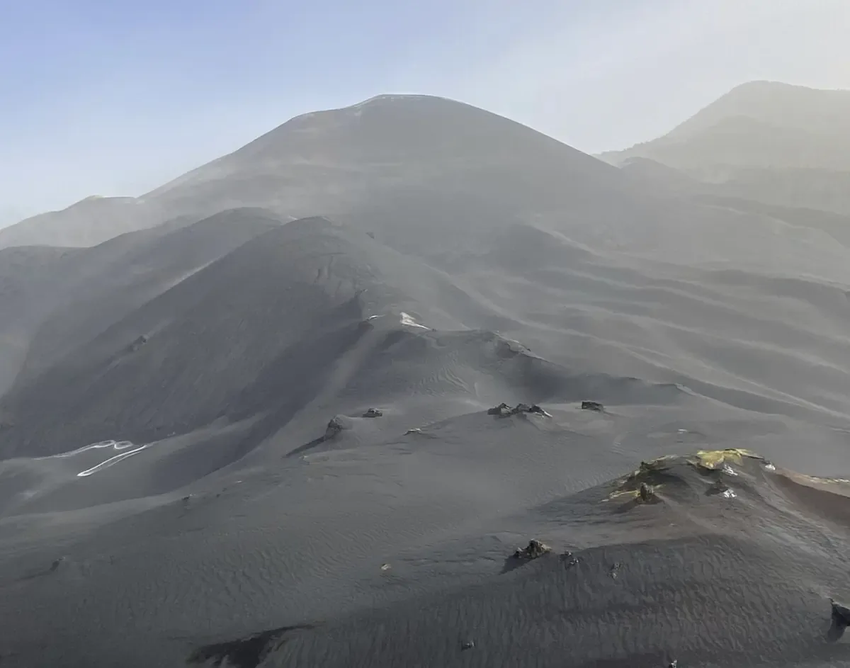 Nuevas investigaciones revelan cómo microorganismos en La Palma iluminan la búsqueda de vida en otros planetas.