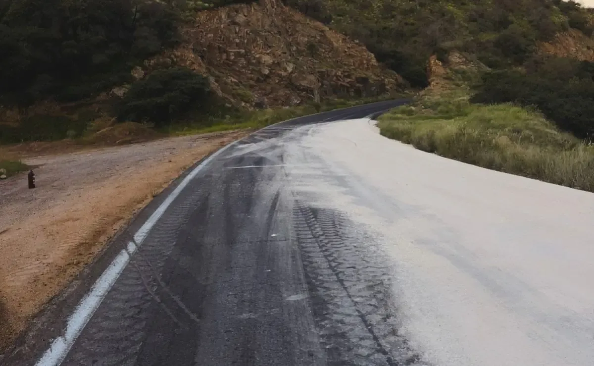 La Profepa coordina acciones para evaluar y remediar la grave situación ambiental tras el accidente.