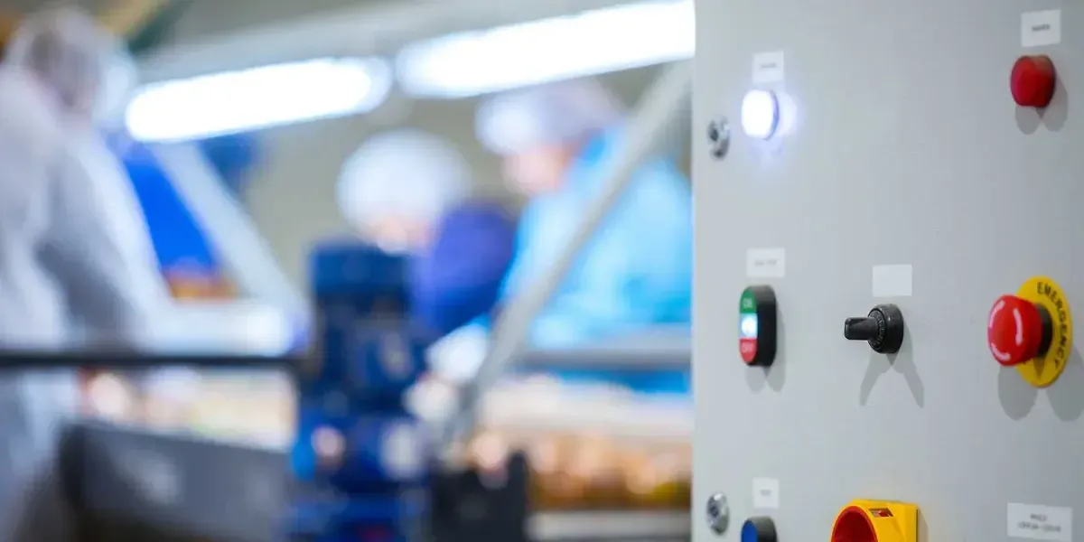 Resultados económicos positivos reflejan el crecimiento de la industria local y su impacto en el empleo.