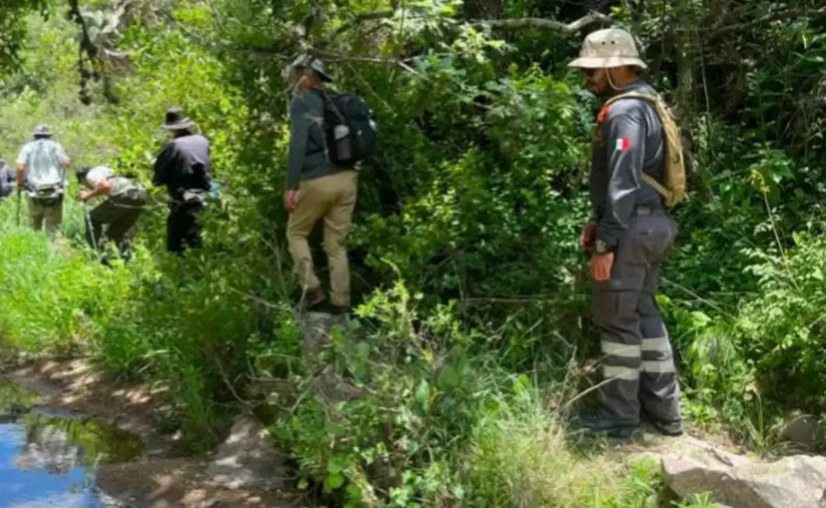 Un hombre de 60 años fue encontrado sin vida tras un operativo de búsqueda.
