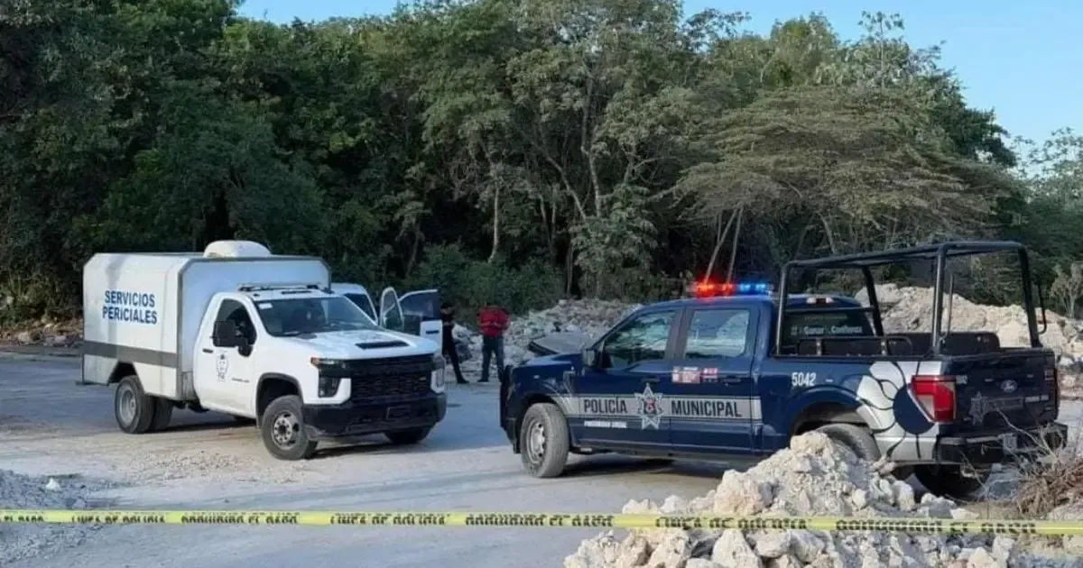 Los restos fueron encontrados en la mañana del 1 de septiembre, mientras las autoridades investigan posibles homicidios en la zona.