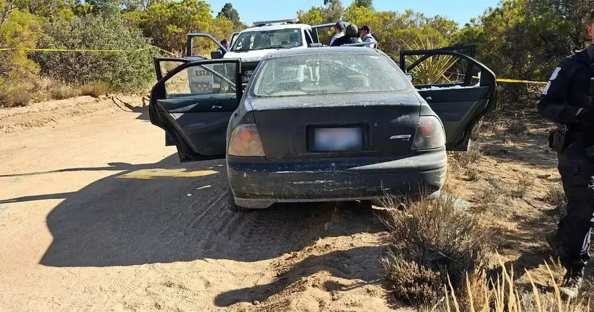 Un presunto criminal resultó herido y se aseguraron armas en un tiroteo con agentes de seguridad.