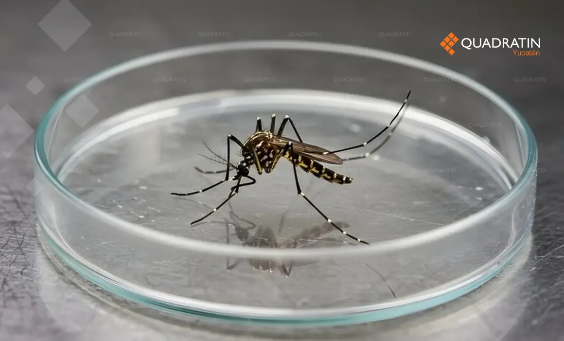 Entrega de tecnología para el control de Aedes aegypti entre México y Cuba.