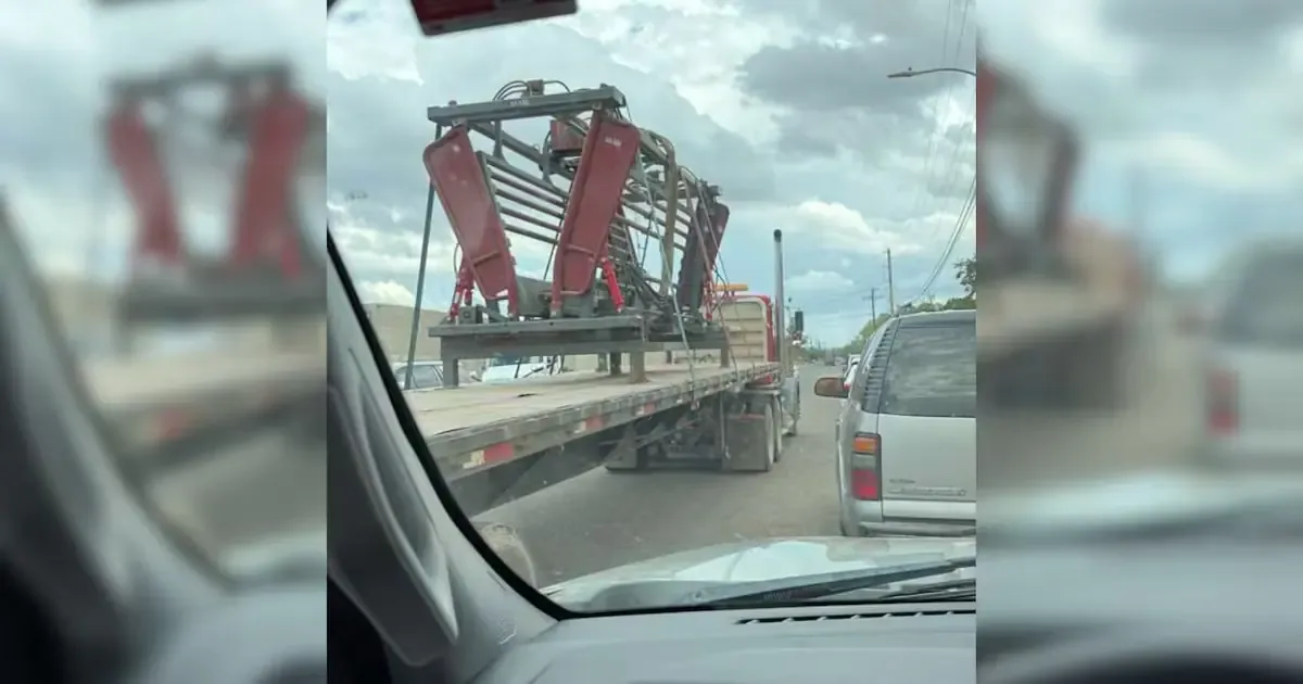 La instalación de una nueva trampa permitirá aumentar la capacidad de exportación de ganado en pie.