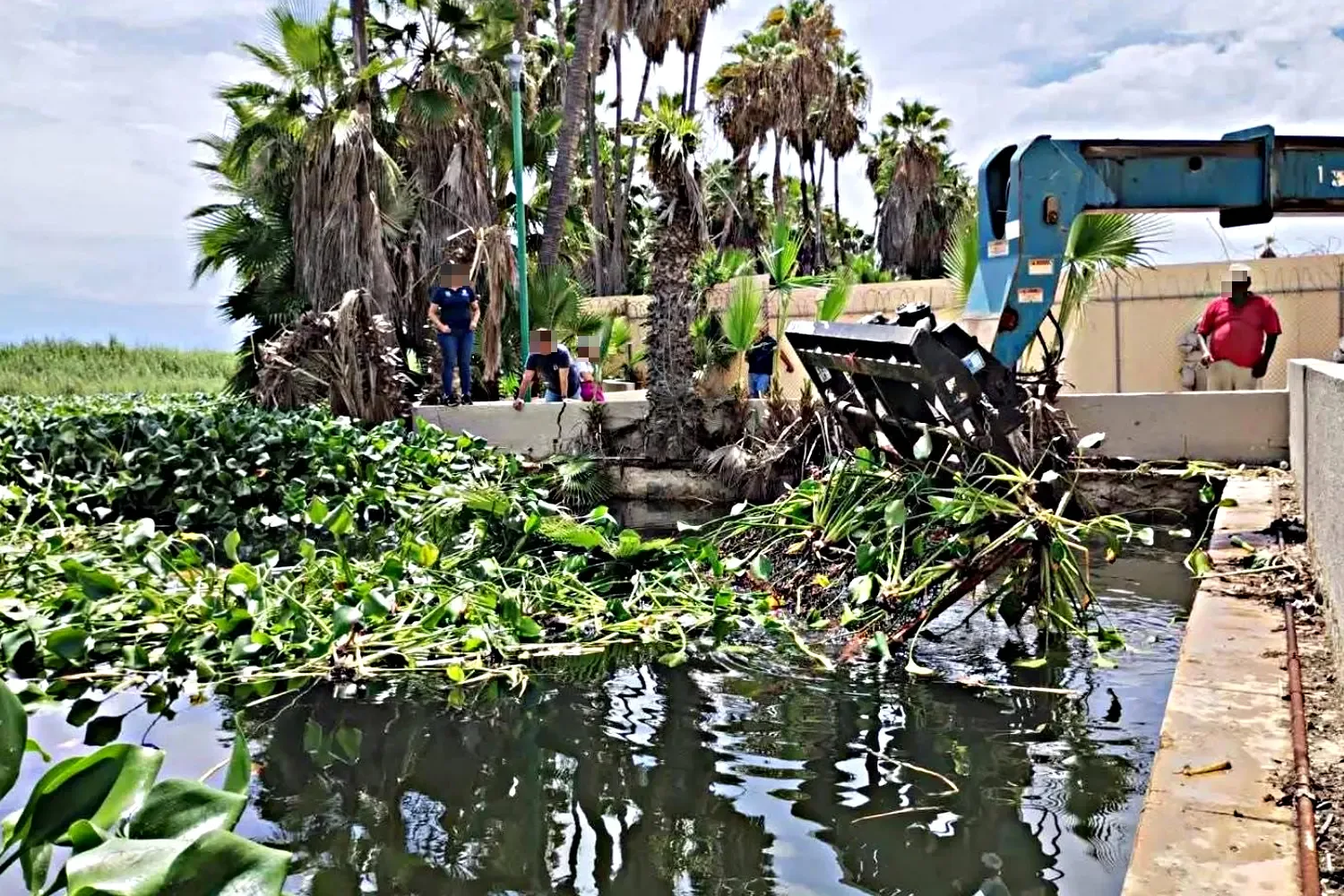 Equipos realizan limpieza en el Estero de San José del Cabo para proteger su biodiversidad.