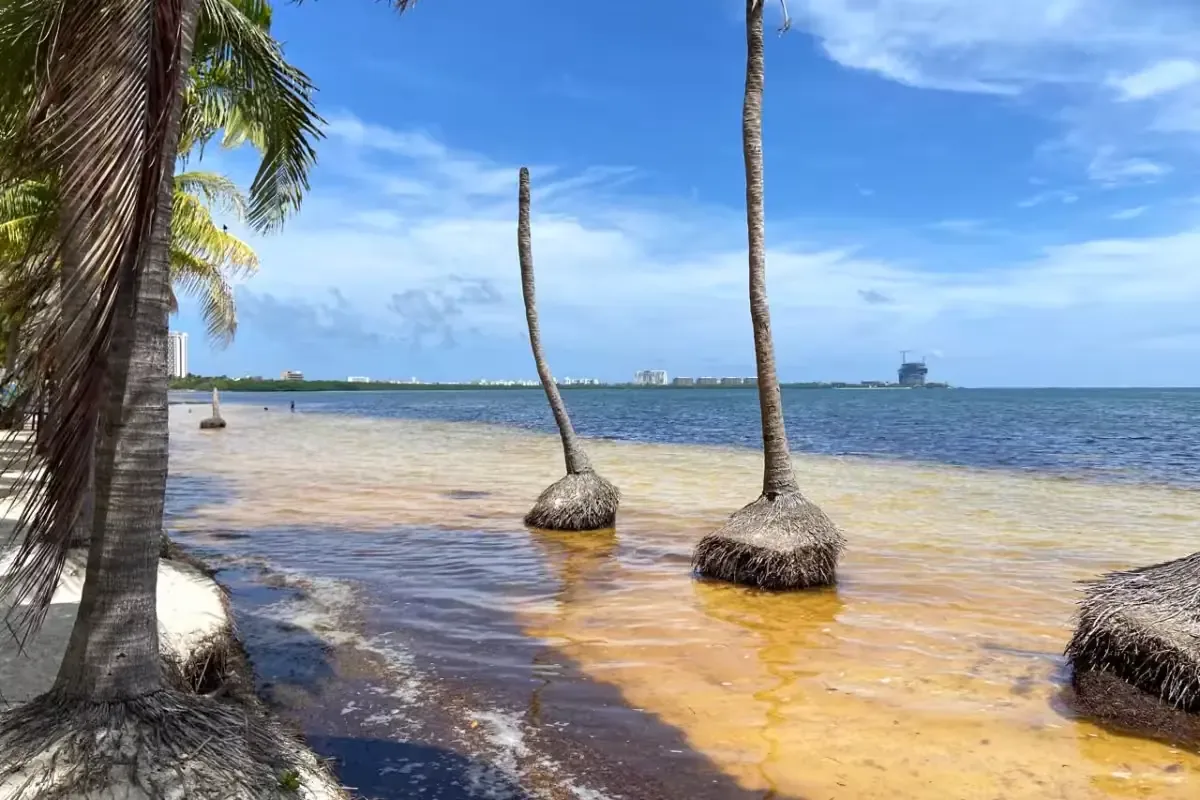 La erosión costera afecta severamente las playas de Quintana Roo y retrasa su recuperación hasta 2027.