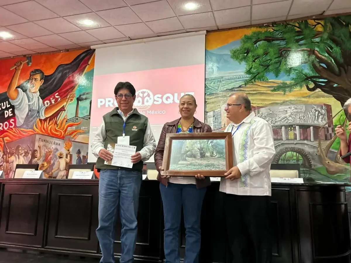 La importancia del ahuehuete como especie emblemática y su conservación se abordaron en este encuentro nacional.