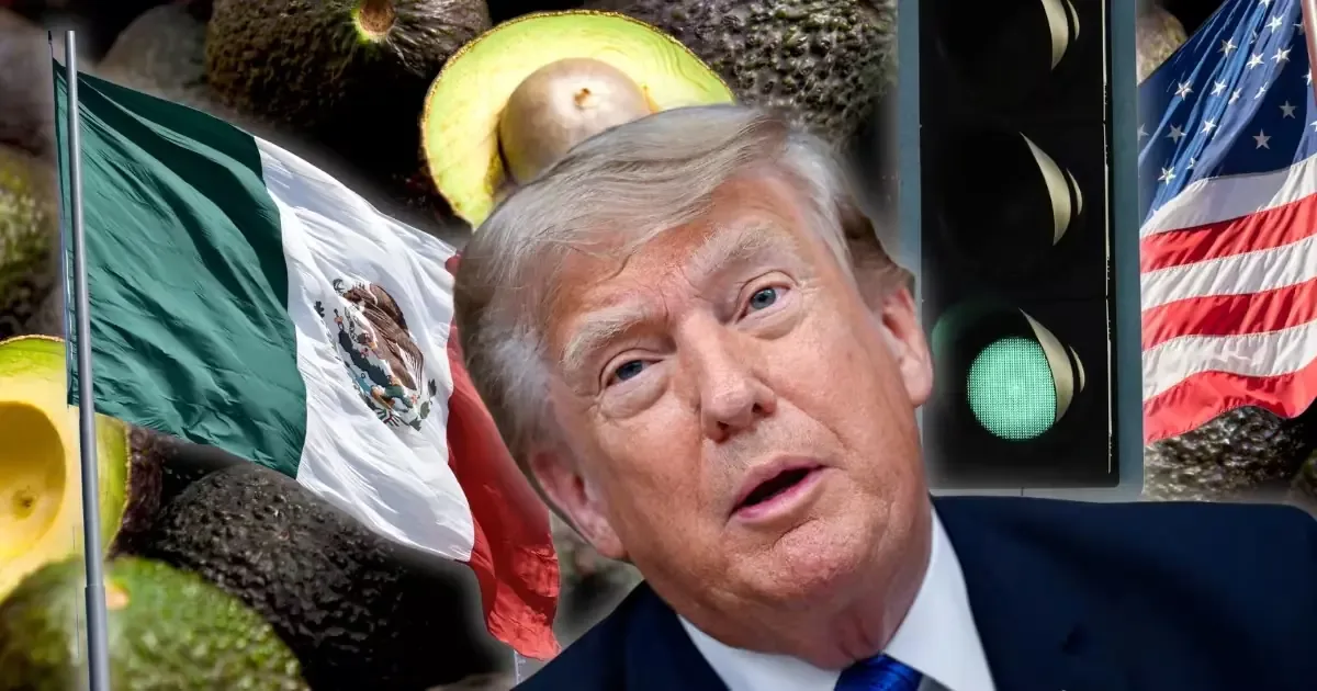 La reactivación de exportaciones de aguacate beneficia a productores y trabajadores en Michoacán.