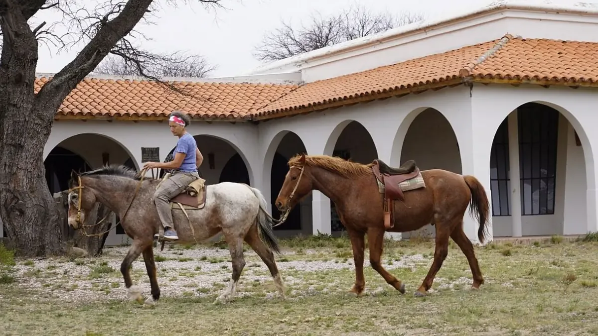 Disfruta de la calidez y naturaleza pampeana en diversas estancias rurales.