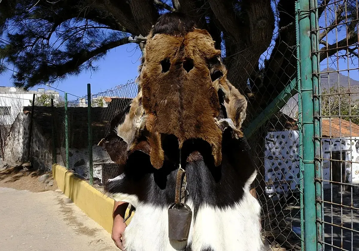 Este 17 de febrero inicia el carnaval con actividades culturales y festivas para la comunidad.