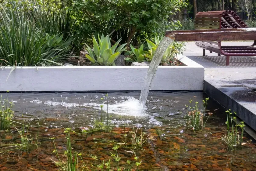 Este espacio en el Parque Tamayo ofrece un refugio natural y sostenible en la CDMX.