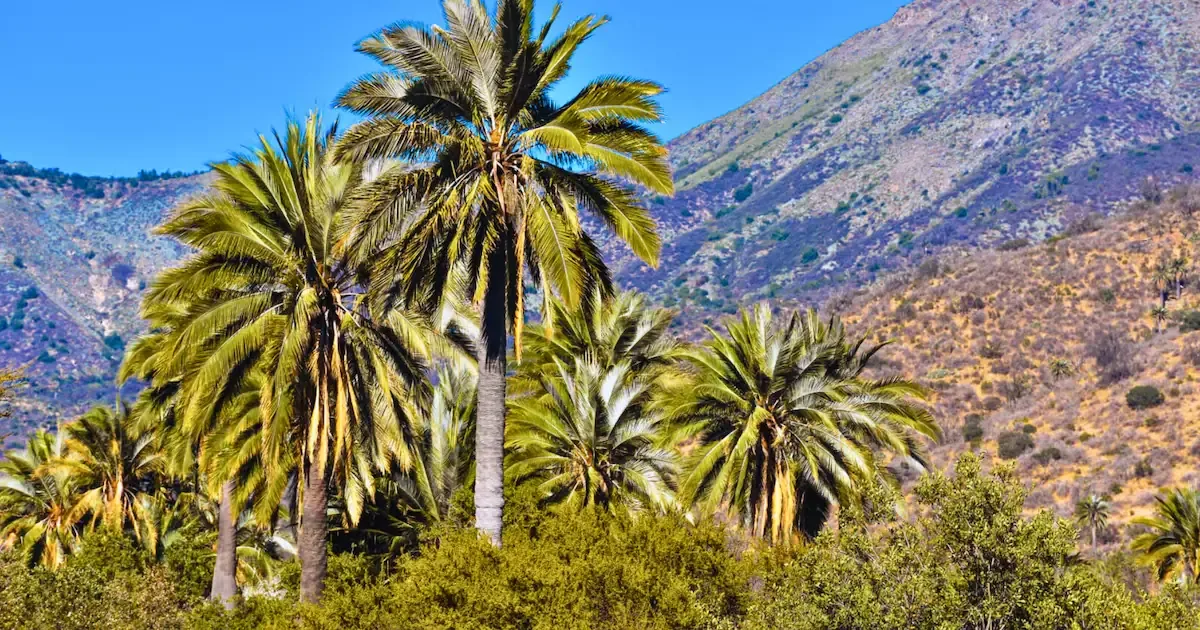Este fin de semana largo es perfecto para disfrutar de la naturaleza en un lugar único de Chile.