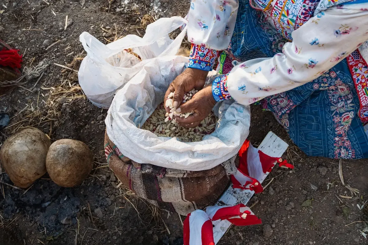 La recuperación del lago Pátzcuaro busca restaurar el equilibrio ecológico y fortalecer la biodiversidad regional.
