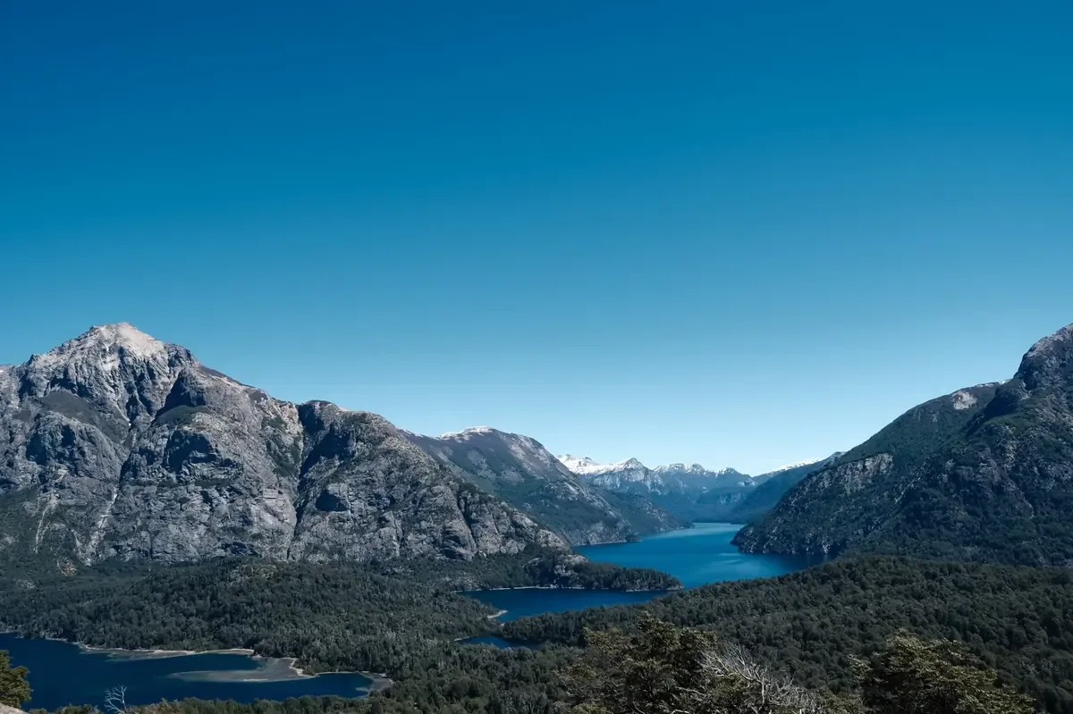 Más de 200 estudiantes aprendieron sobre la conservación del huemul en el Día dedicado a esta especie.