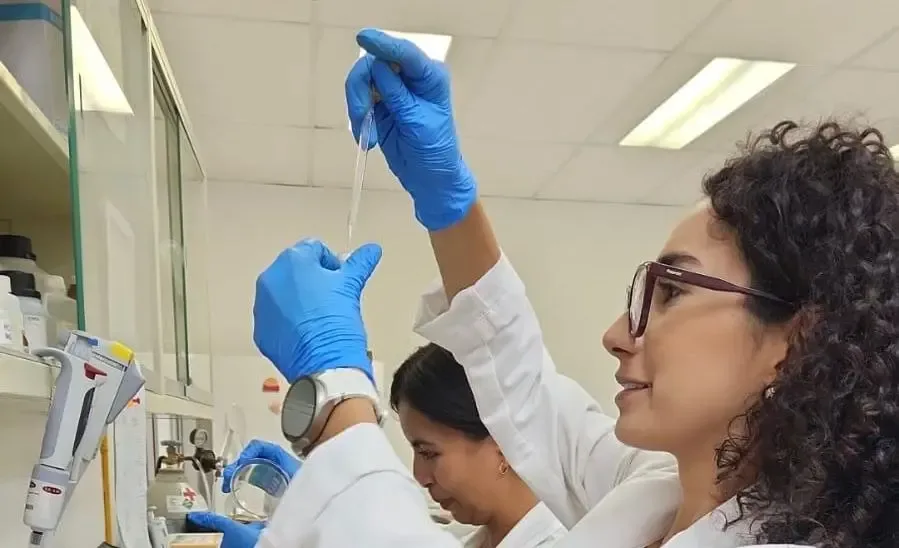 Estudiantes de la UAQ trabajan en el estudio sobre salud intestinal de lechones.