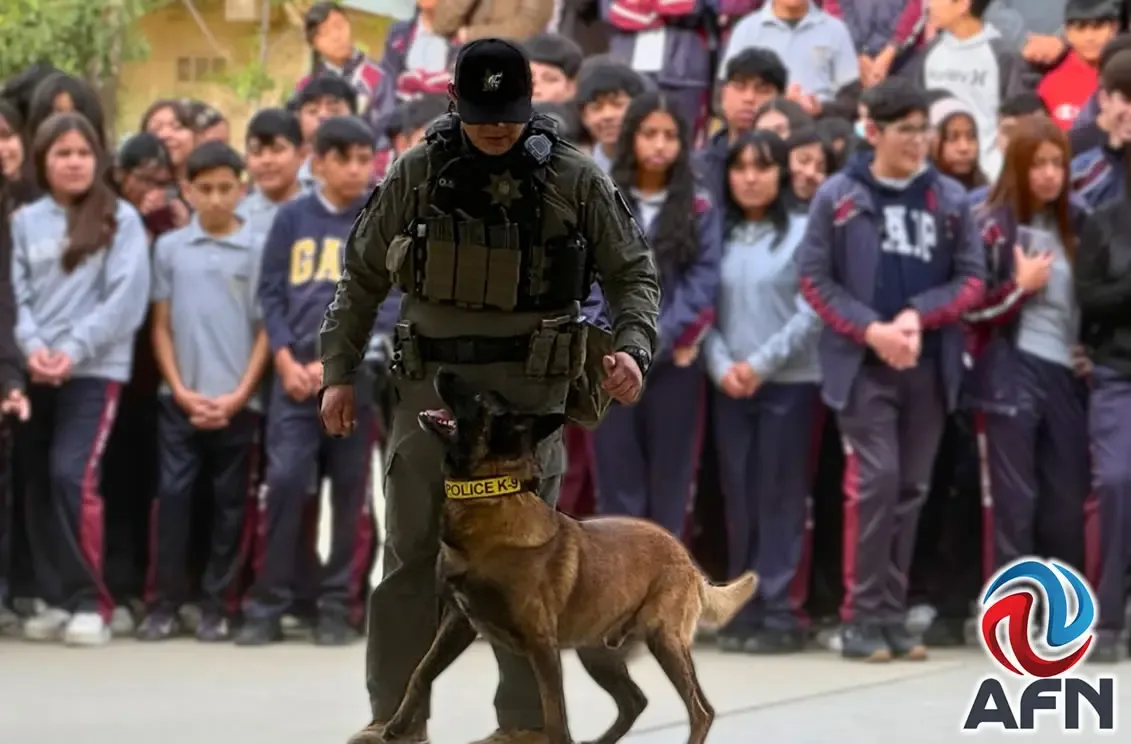 Estudiantes participan en la jornada informativa sobre seguridad en Tijuana.