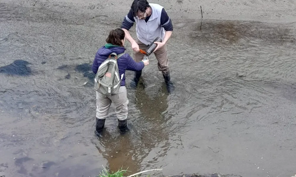 Estudio de la Universidad Nacional del Centro se enfoca en mitigar este contaminante emergente.