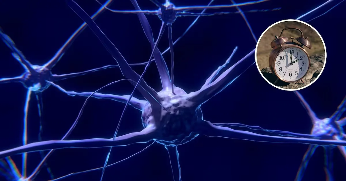 Estudio sobre la percepción del tiempo y la felicidad en investigaciones recientes.