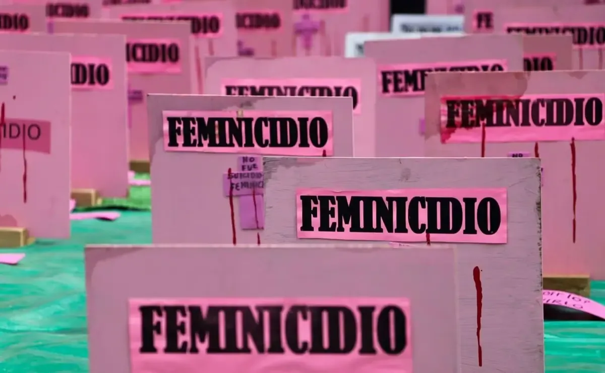 La propuesta enviada por la presidenta Claudia Sheinbaum no asegura acceso a la justicia para mujeres y niñas.