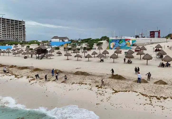 Expertos analizan el uso de barreras transoceánicas en Cancún para enfrentar el sargazo.