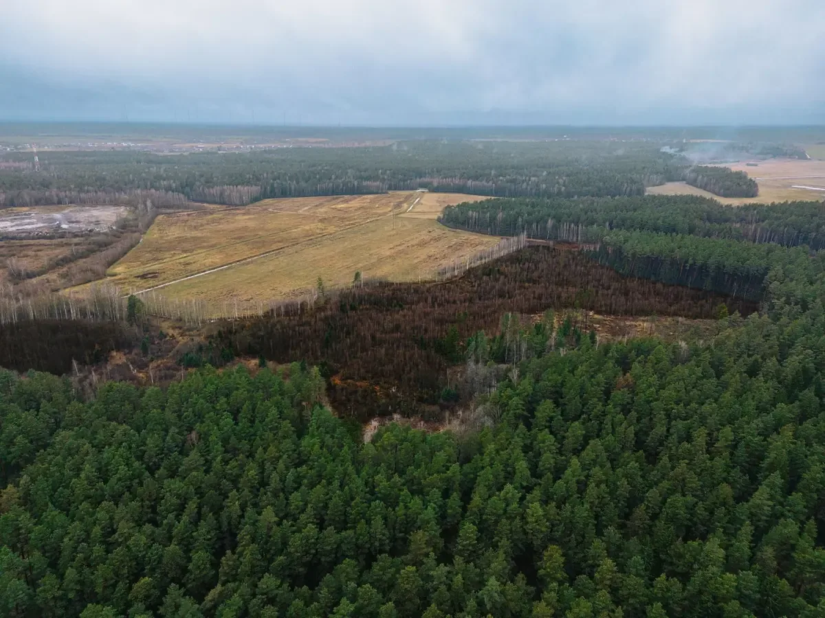 La propuesta busca tipificar el ecocidio como delito en América Latina y responde a desafíos ambientales críticos.