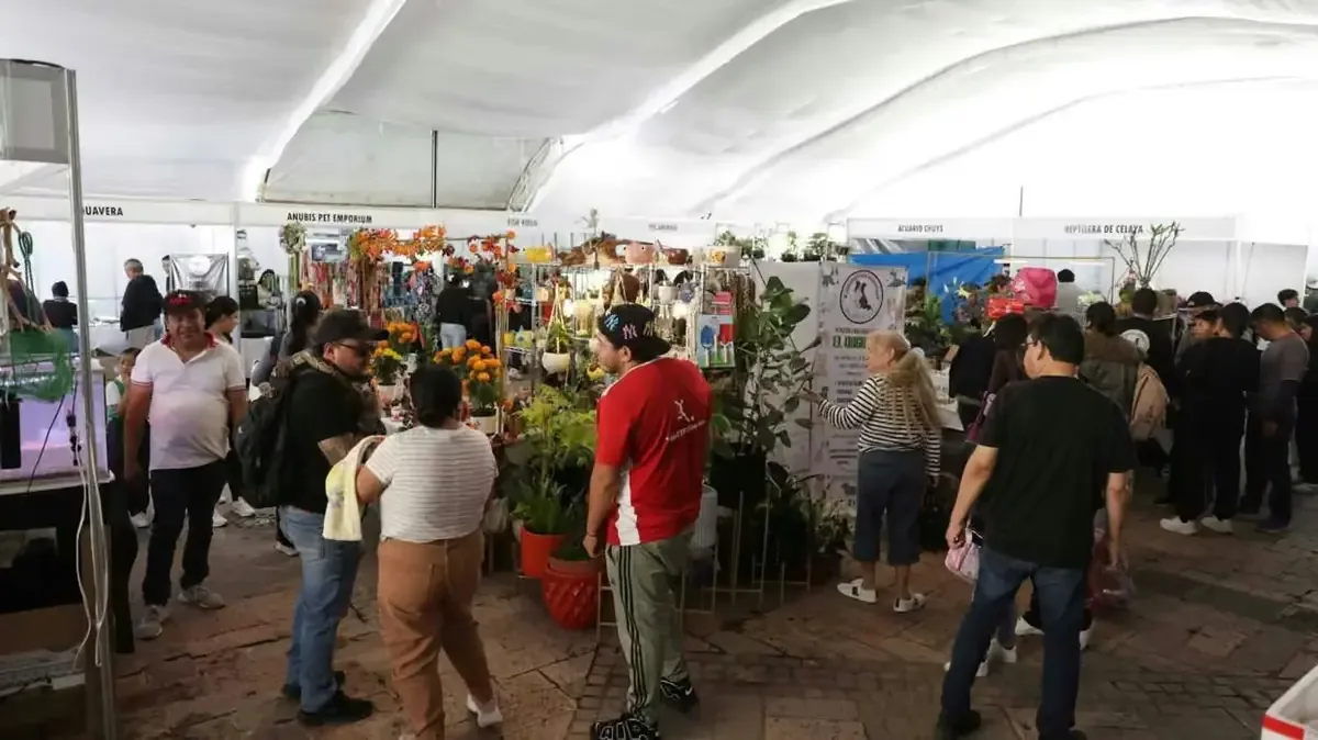 La exposición resalta la importancia de la conservación marina ante la crisis ambiental actual.