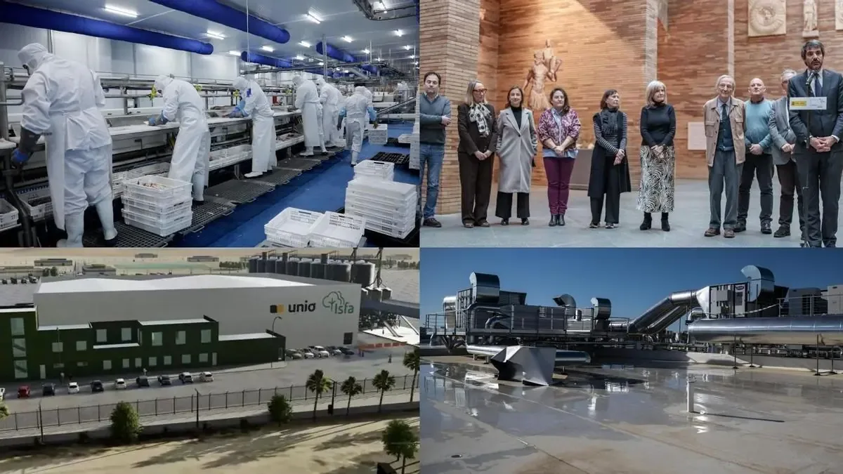 La situación de los grandes proyectos industriales y energéticos genera preocupación en la región.