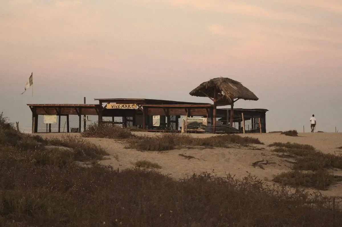 Evento reúne a comunidades para resaltar la conservación marina y ecológica en Playas de Rosarito.