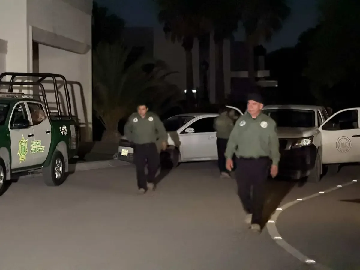 La Fiscalía investiga un caso de maltrato animal que desató la indignación pública tras video viral.