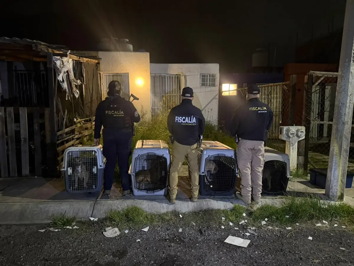 La fiscalía busca esclarecer la situación jurídica de los animales rescatados.