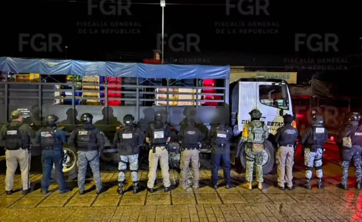 La incautación se realizó en nueve locales comerciales tras una denuncia anónima sobre actividad ilegal.