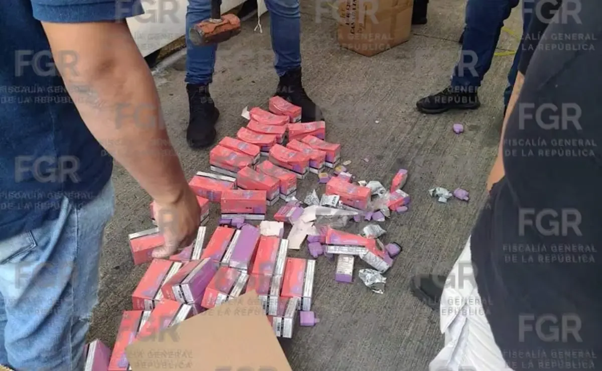 La actividad forma parte de los esfuerzos de la FGR para combatir el uso de documentos falsos y la propiedad industrial.