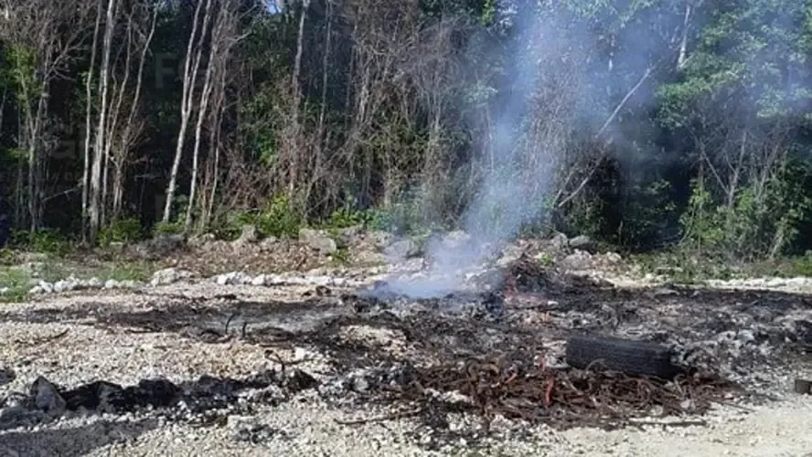 La incineración de narcóticos es parte de las acciones contra el narcotráfico en la región.