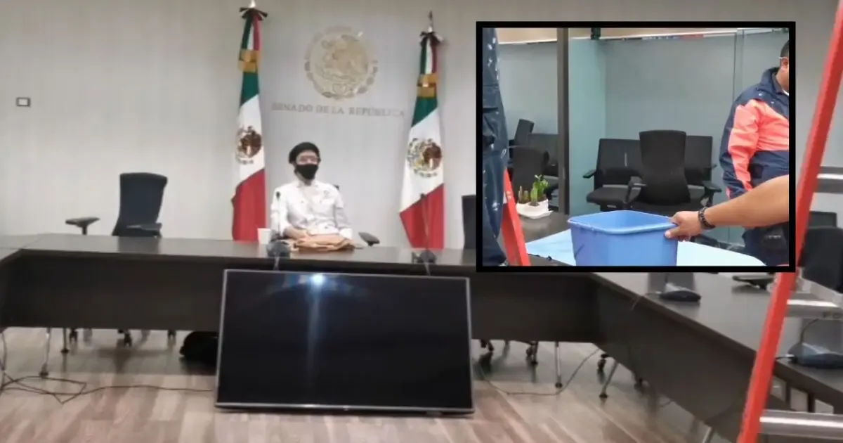 Las goteras y problemas de mantenimiento afectan la operatividad del recinto legislativo.