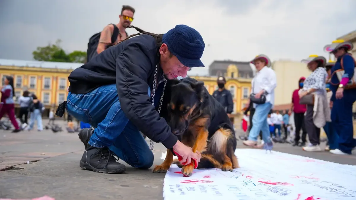 La Fiscalía de Coahuila busca erradicar el maltrato animal con una política de cero tolerancia.