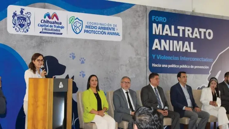 Se generaron propuestas para mejorar las políticas públicas en prevención del maltrato animal y su vinculación con otras problemáticas.