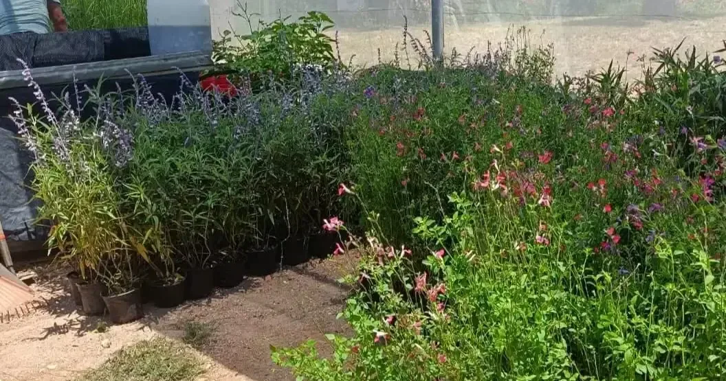 La donación de insumos y plantas nativas busca fortalecer la educación ambiental y la biodiversidad del campus.