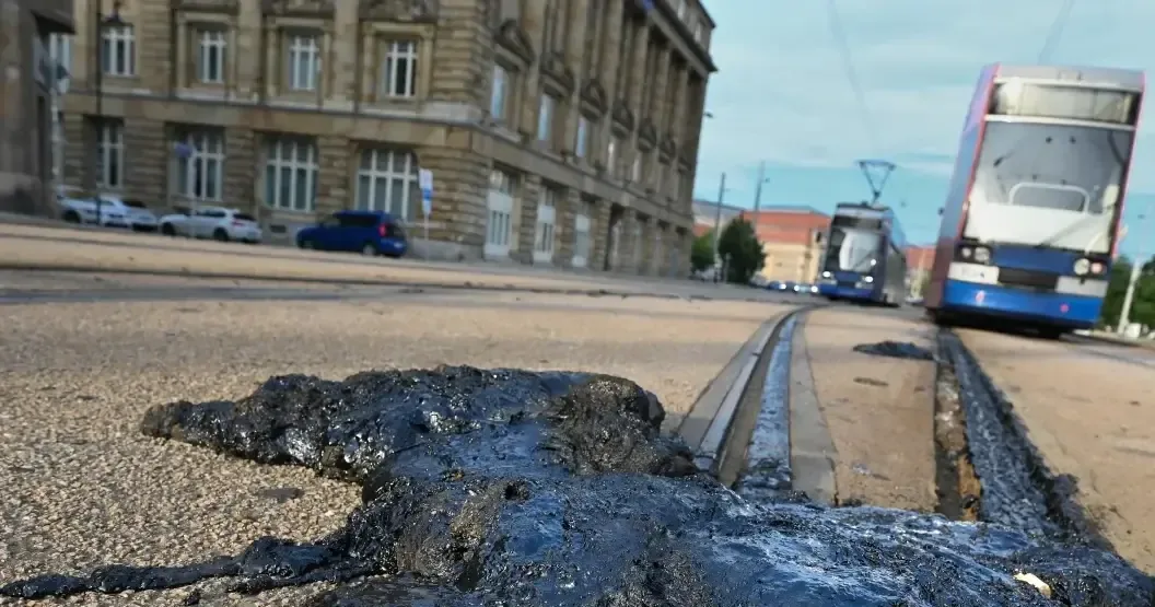 La extrema ola de calor ha llevado a un aumento significativo en la mortalidad y ha resultado en incendios forestales.