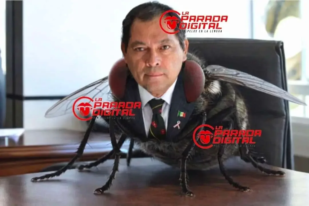 Francisco Sánchez ante la denuncia de tráfico de influencias contra su esposa.
